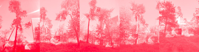 Pascale-Sophie Kaparis